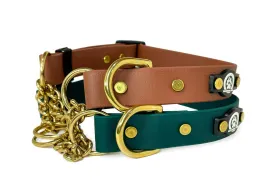 1" Waterproof BioThane Adjustable Brass Martingale Collar