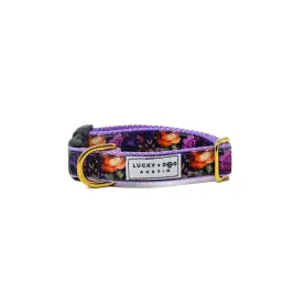 Activewear - Primrose Pup