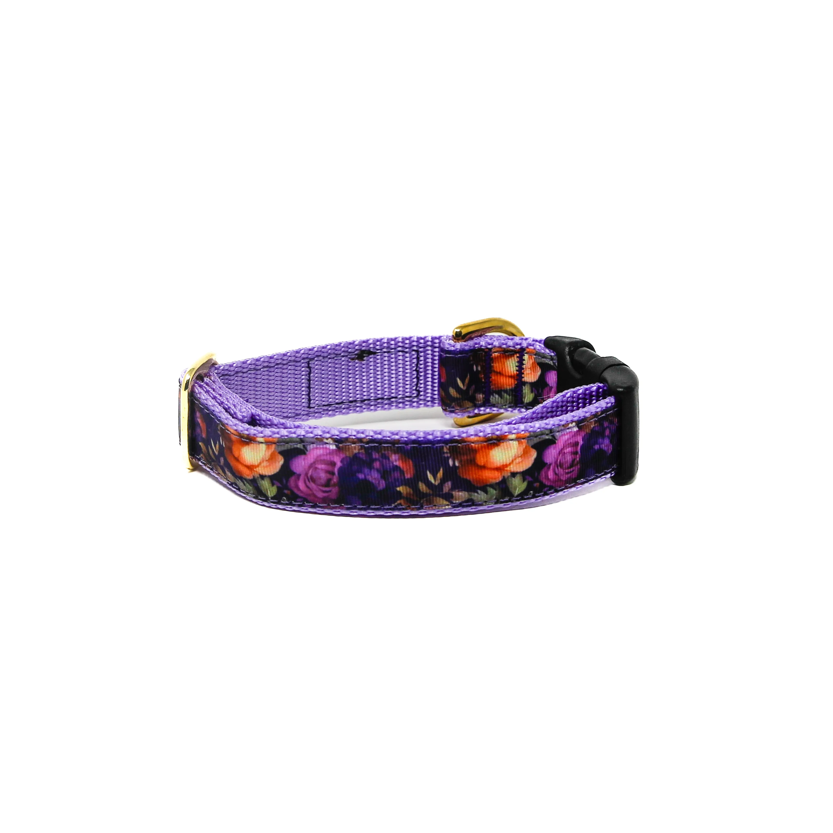 Activewear - Primrose Pup