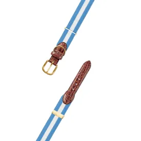 Adjustable Carolina Blue & White Grosgrain Dog Collar with Embossed Calf Tabs