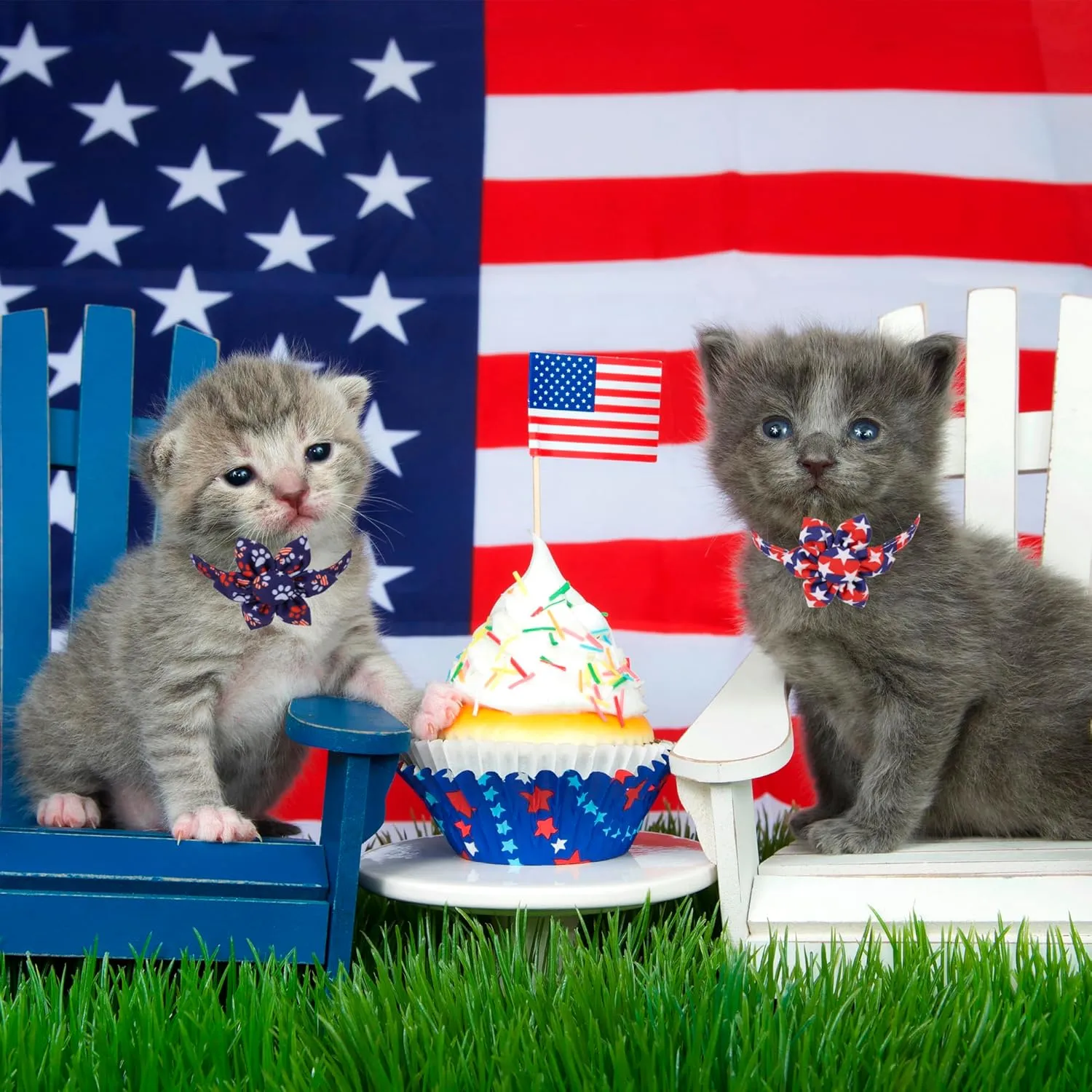 ADOGGYGO American Flag Cat Collars with Removable Flower Bell, Adjustable Red Blue 4th of July Flag Pattern Floral Collars for Cats Kittens