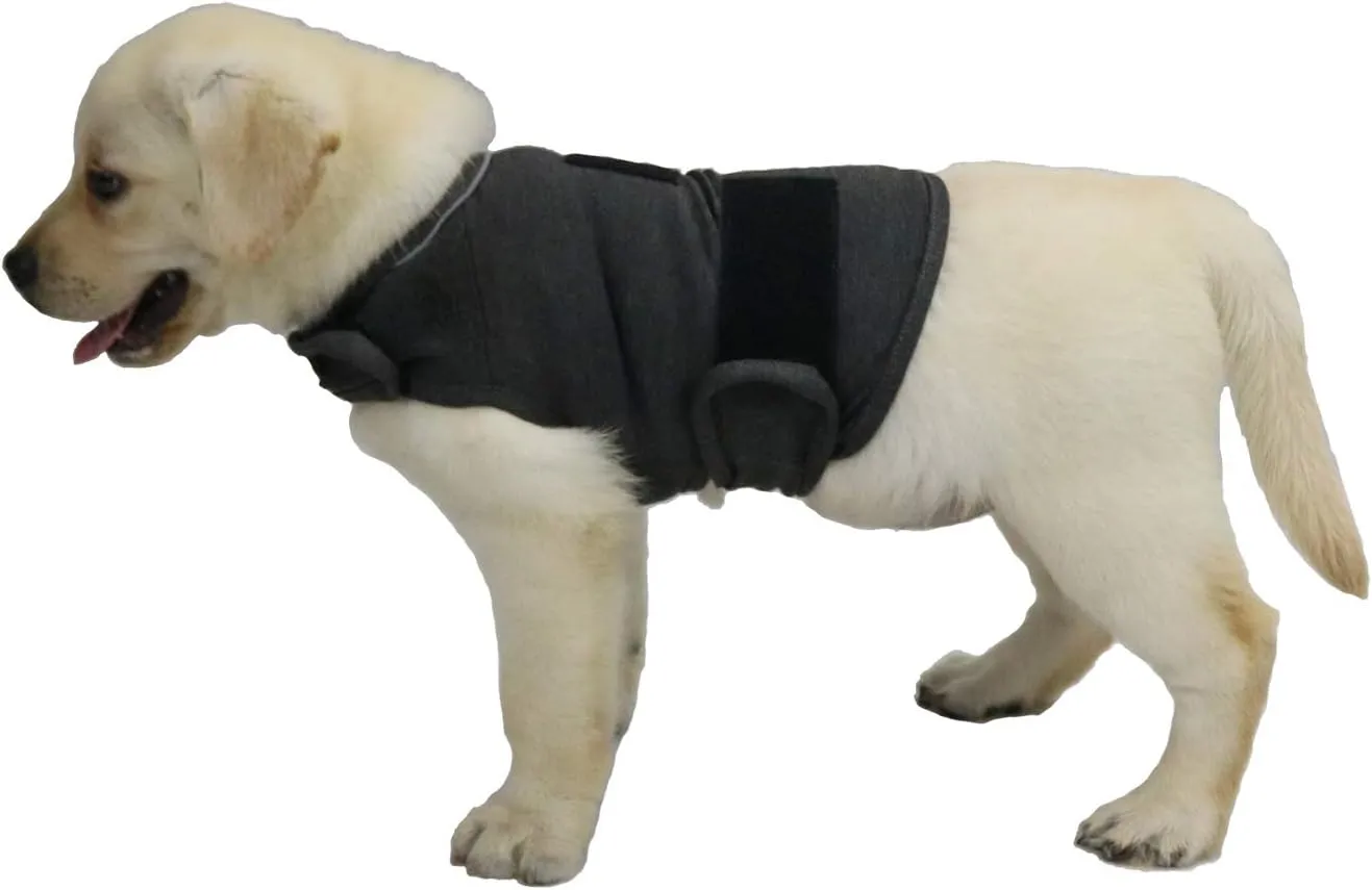 Comfort Dog Anxiety Relief Coat, Dog Anxiety Calming Vest Wrap for Thunderstorm,Travel,4th of July Fireworks,Vet Visits,Separation Anxiety Relief for Dogs (Small (Pack of 1), Gray)