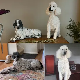 Custom pet memorial figurine with optional ashes inclusion