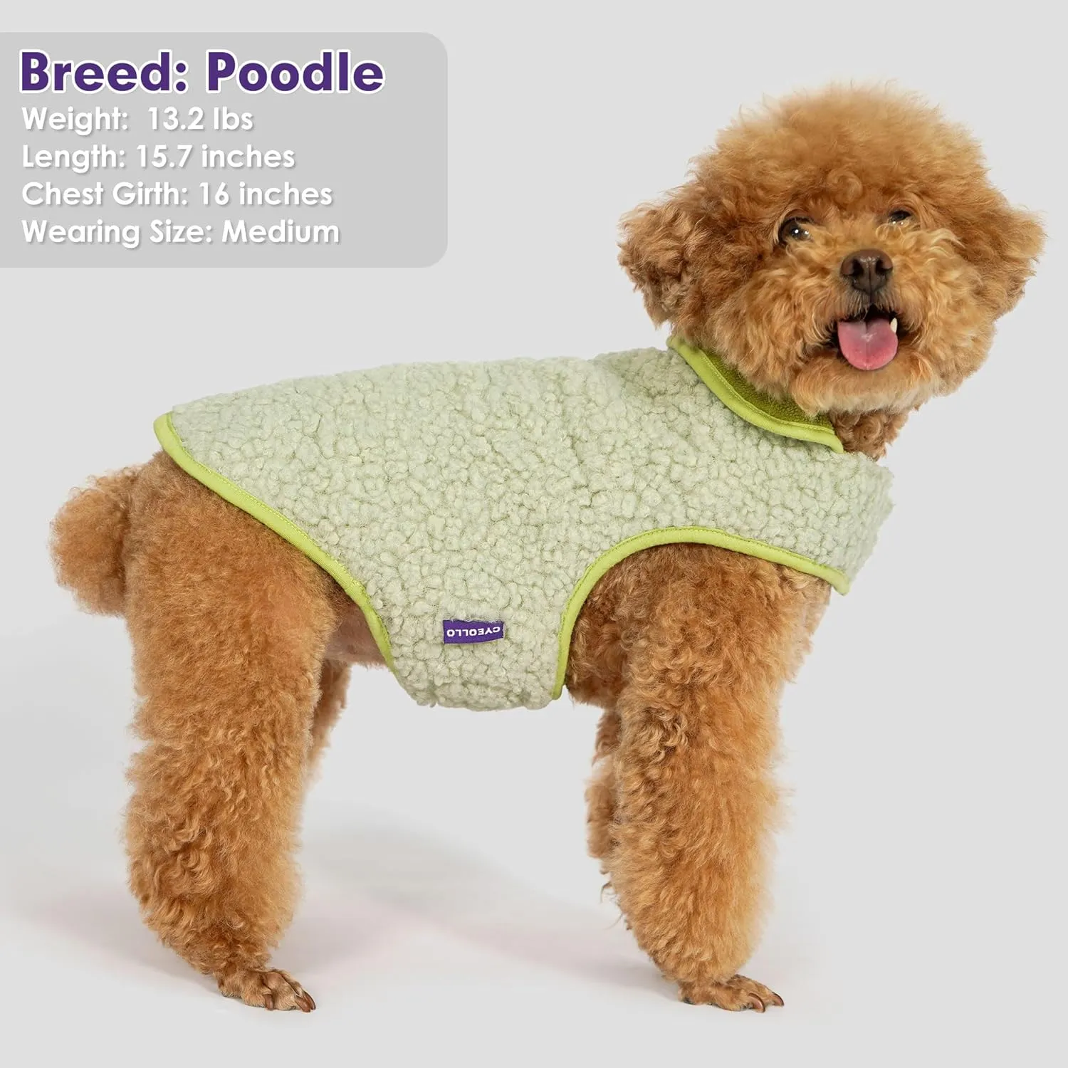 Cyeollo Warm Dog Coat Fleece Sherpa Winter Sweater, Turtleneck Jacket Vest for Small to Large Dogs, Soft Reversible Coats for Cold Weather, Green, XL