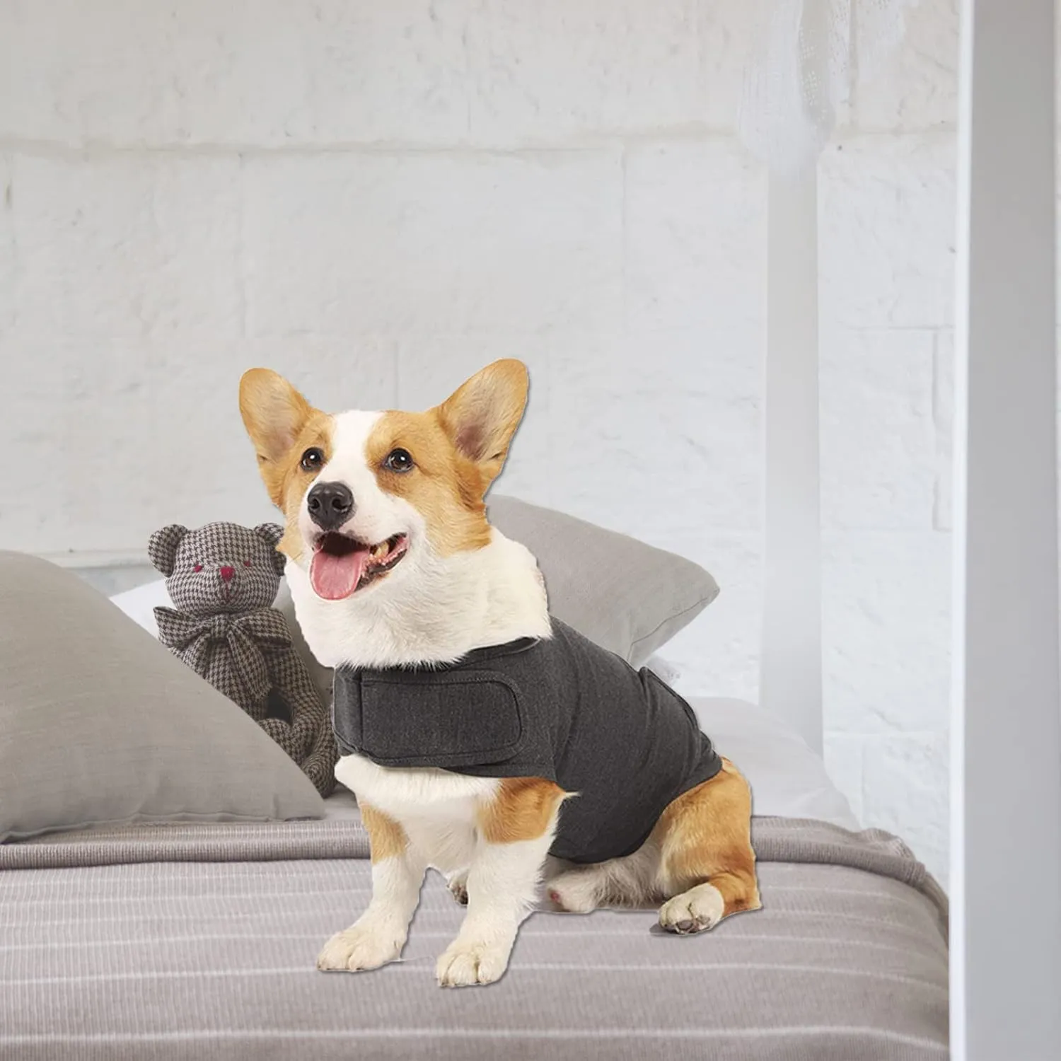 Dog Anxiety Jacket, Skin-Friendly Calming Shirt for Dogs - Dog Vest for Thunder, Fireworks and Separation - Keep Pet Calm Without Medicine & Training, Anti Anxiety Coat for Dogs (Dark Grey, XL)