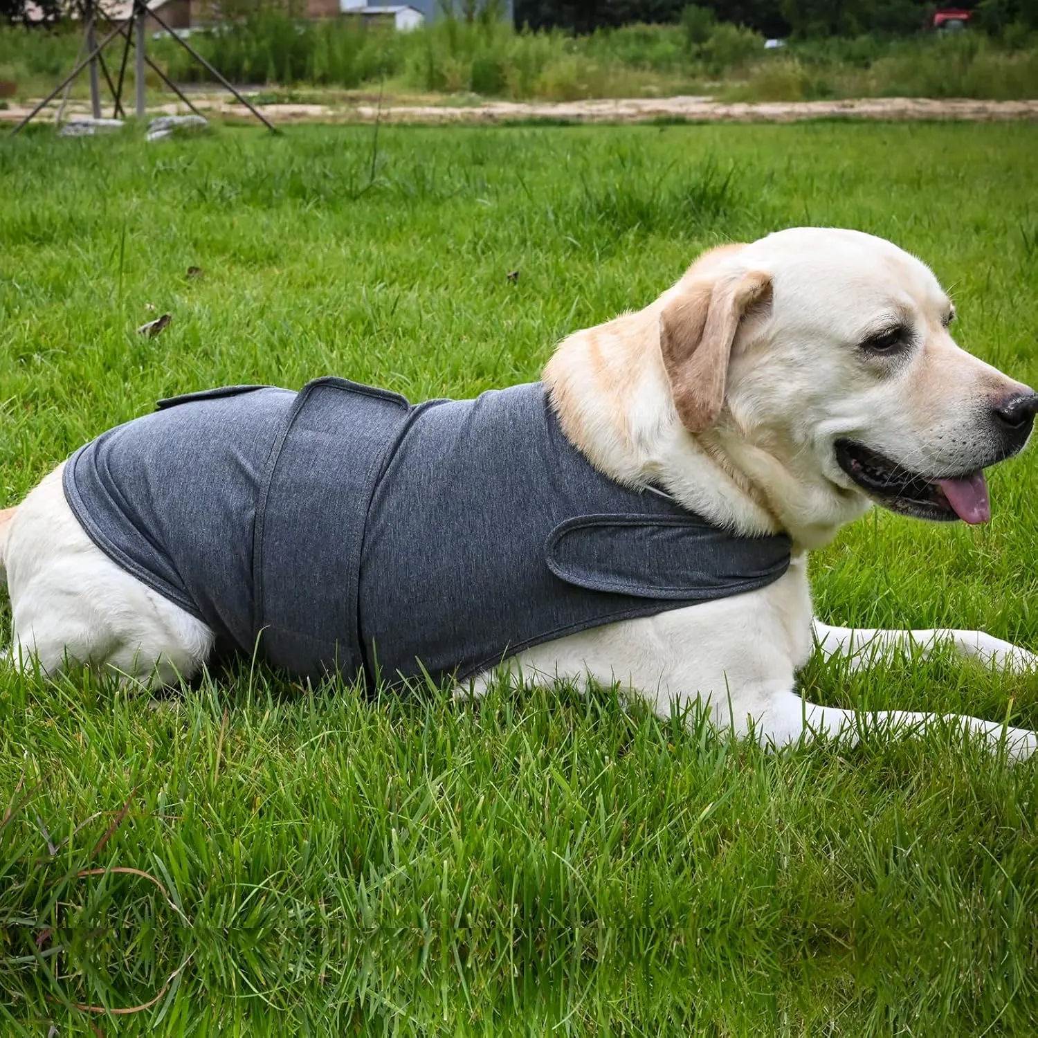 Dog Anxiety Jacket, Skin-Friendly Calming Shirt for Dogs - Dog Vest for Thunder, Fireworks and Separation - Keep Pet Calm Without Medicine & Training, Anti Anxiety Coat for Dogs (Dark Grey, XL)