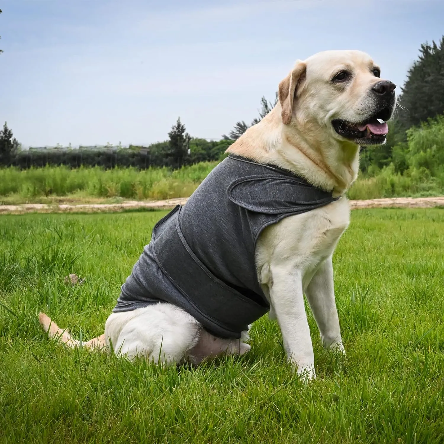 Dog Anxiety Jacket, Skin-Friendly Calming Shirt for Dogs - Dog Vest for Thunder, Fireworks and Separation - Keep Pet Calm Without Medicine & Training, Anti Anxiety Coat for Dogs (Dark Grey, XL)