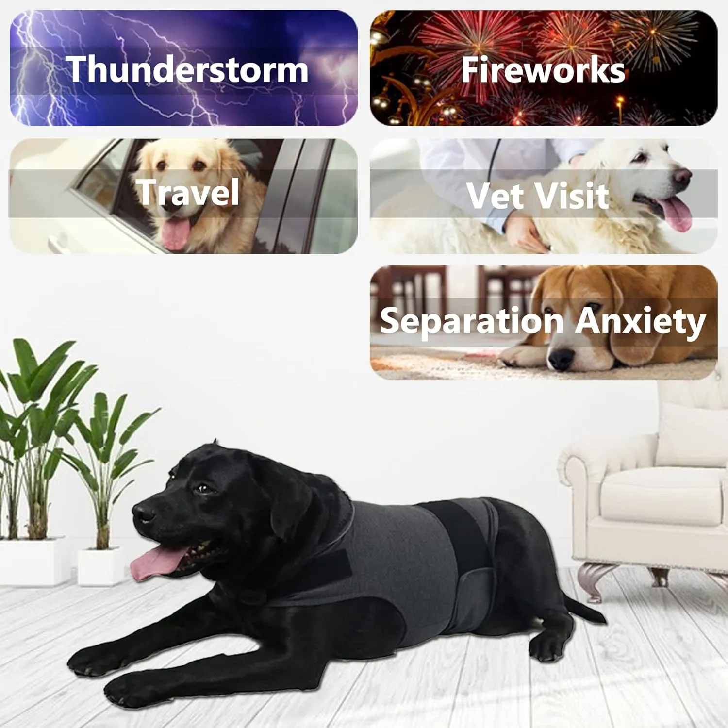 Dog Anxiety Jacket, Skin-Friendly Calming Shirt for Dogs - Dog Vest for Thunder, Fireworks and Separation - Keep Pet Calm Without Medicine & Training, Anti Anxiety Coat for Dogs (Dark Grey, XL)