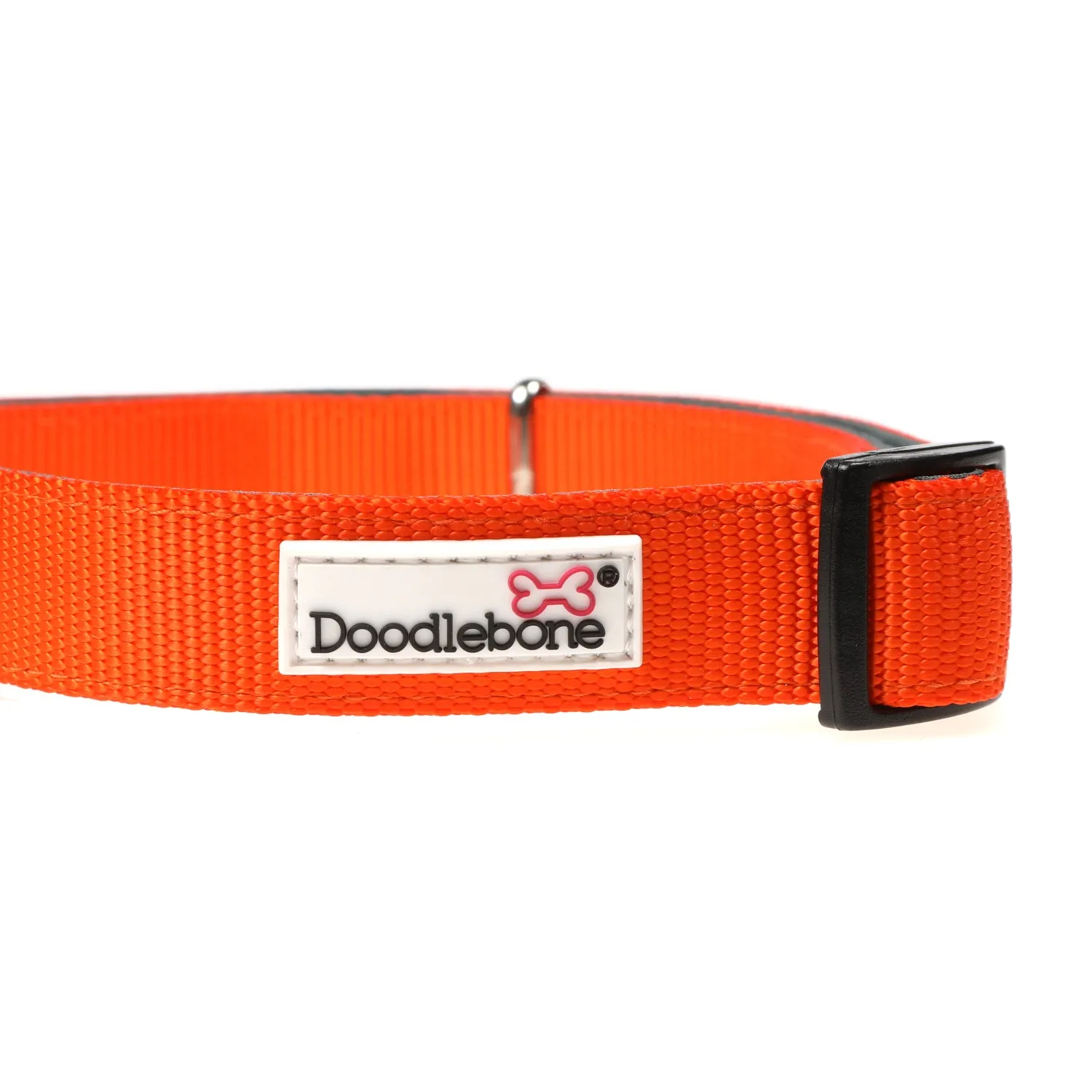Doodlebone Originals Padded Dog Collar Tangerine 3 Sizes