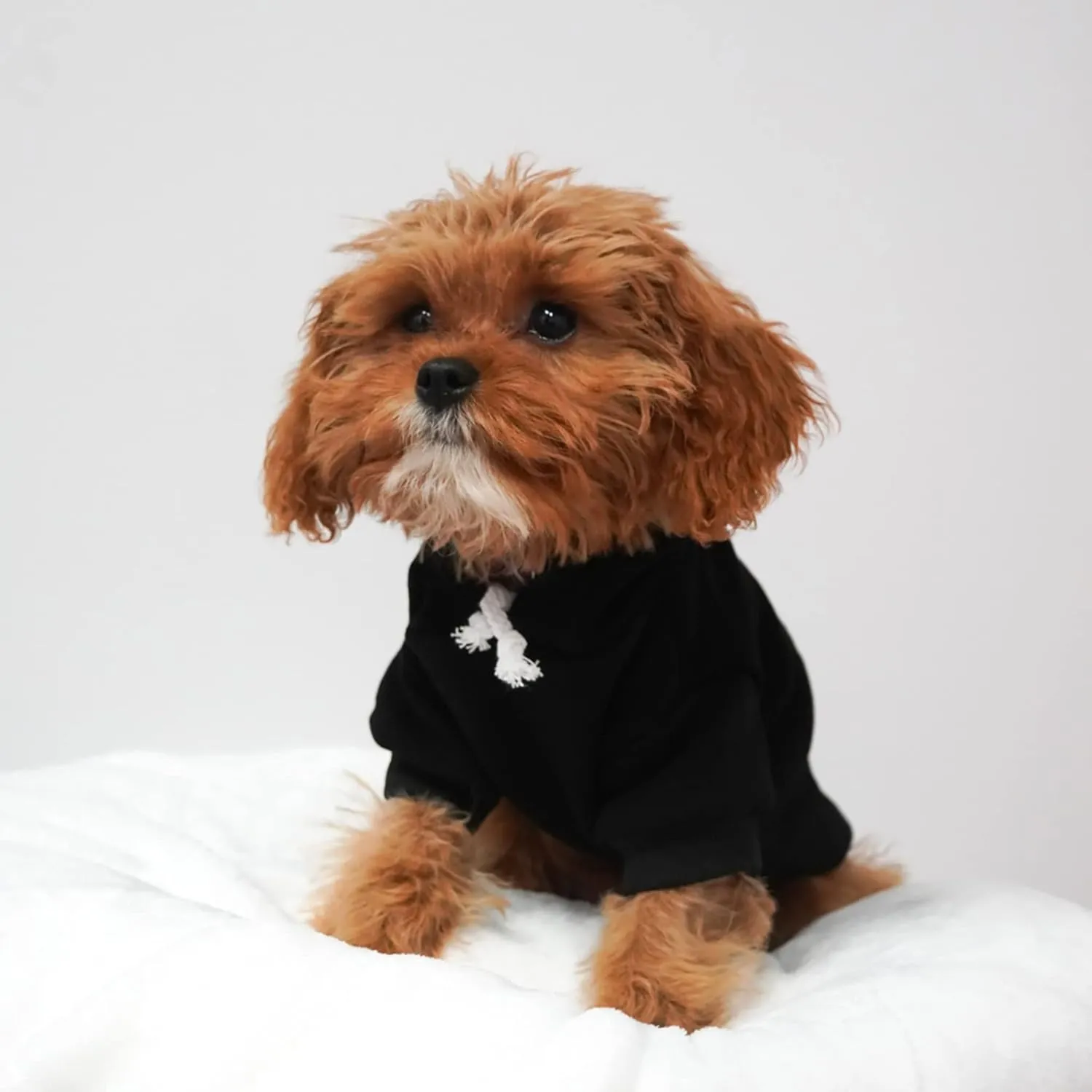 Happy Birthday Mommy! Dog Hoodie Fleece Lined Pullover Sweatshirt with Leash Hole (Black, Small 169)
