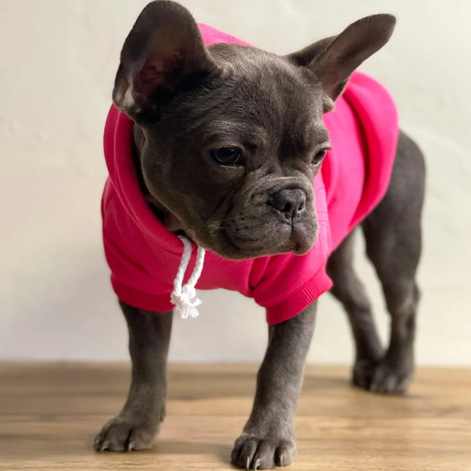 Happy Birthday Mommy! Dog Hoodie Fleece Lined Pullover Sweatshirt with Leash Hole (Hot Pink, Small 169)