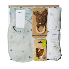 Hatchlings Bunny Gift Box