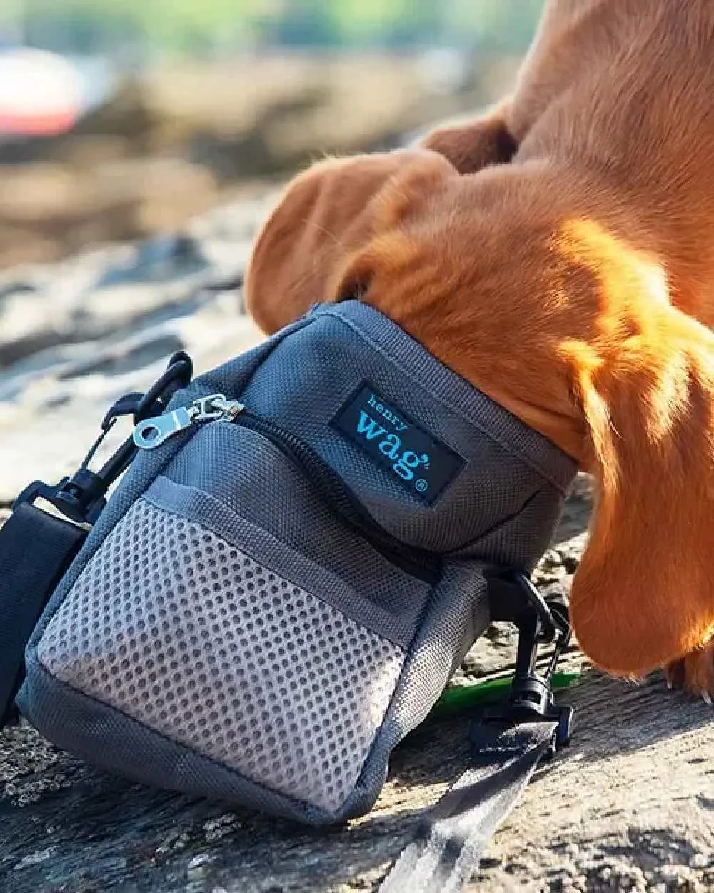 Henry Wag Treat Travel Bag