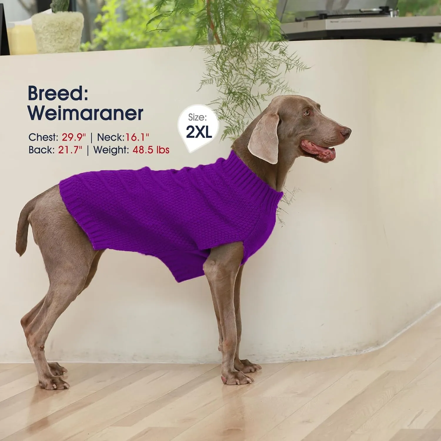 IECOii Dog Sweaters for Large Dogs,XXL Dog Sweater Warm Pullover Vest for Winter,Knitted Dog Sweater Large Size Dog Sweatshirt for Extra Large Dogs boy Girl,Golden Retriever,Pitbull,Purple-2XL