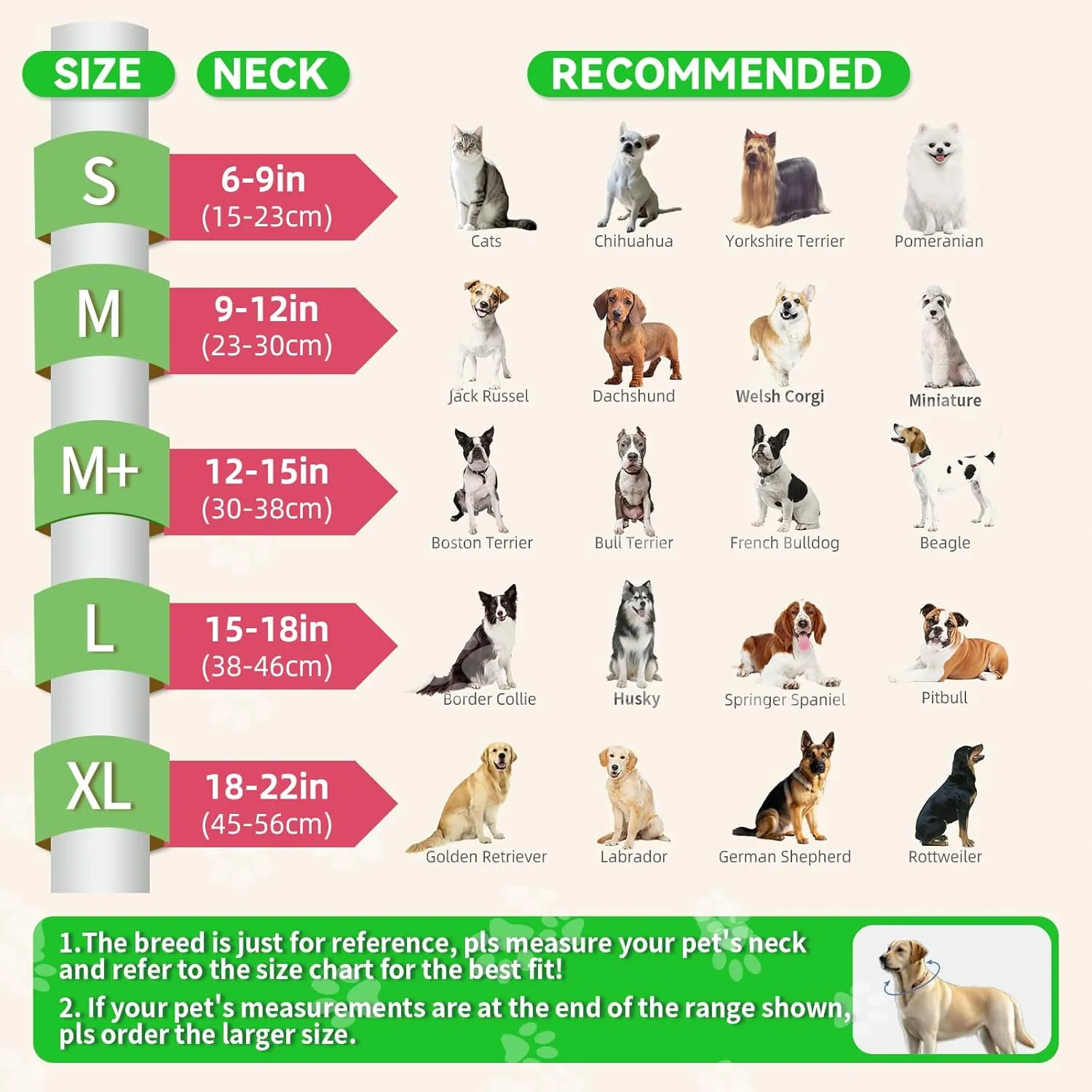 Inflatable Dog Cone Collar with Transparent Anti-Licking Shield, Soft Adjustable Elizabethan Collar for Medium Large Dogs, 2-in-1 Design with Detachable Shield and Comfortable Padding (M, Watermelon)