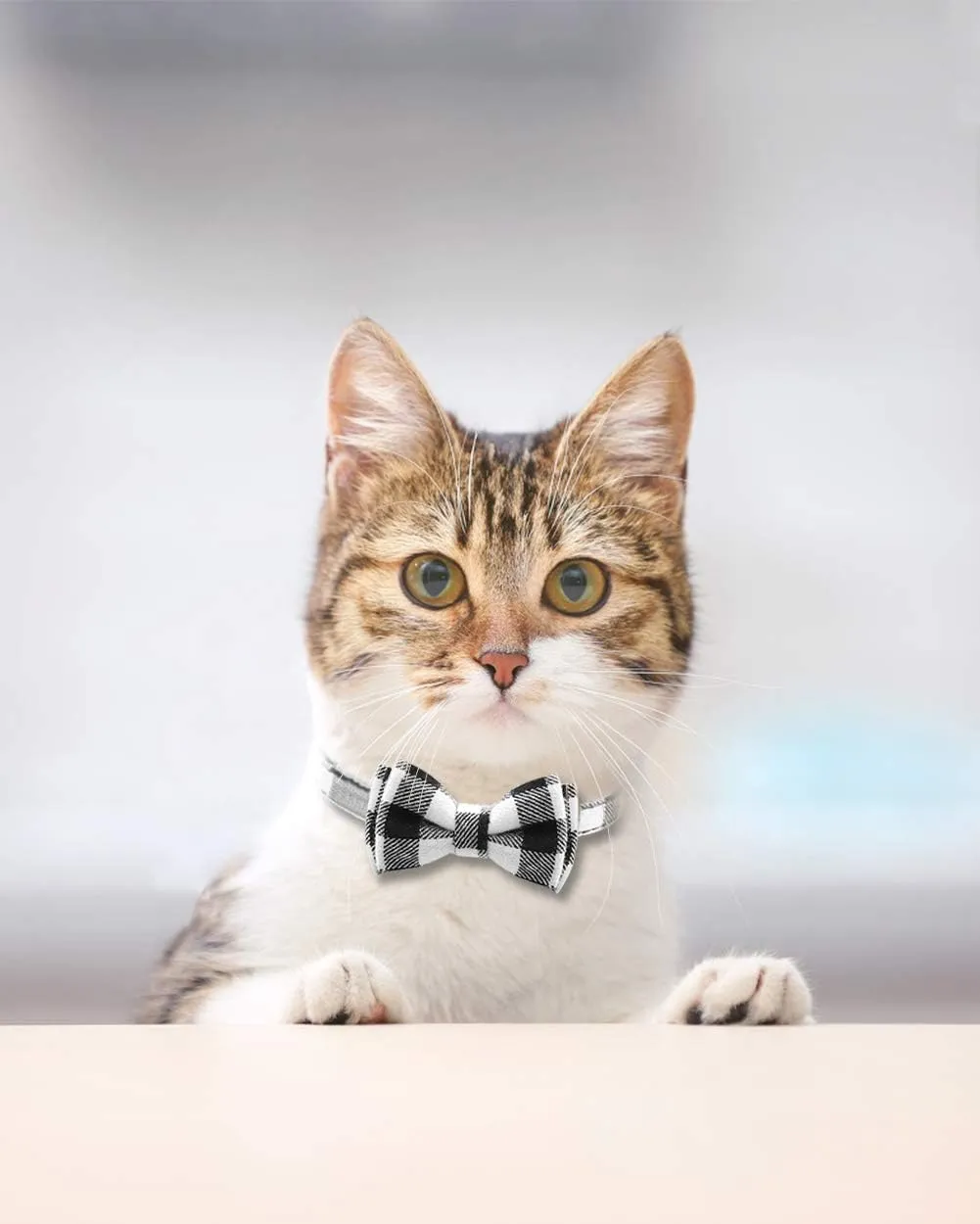 Joytale Upgraded Cat Collar with Bells, Breakaway Cat Collars with Bow Tie, 2 Pack Girl Boy Safety Plaid Kitten Collars, Black Blue