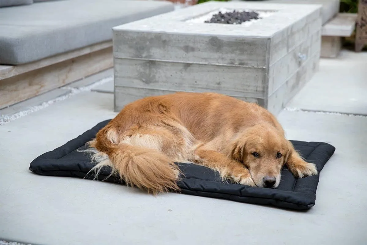 K9 Ballistics Tough Ripstop Dog Crate Pad - Durable & Machine Washable with Non-Skid Bottom and 120-Day Warranty, Fits 24" Wire Crates - X-Small, Obsidian Black