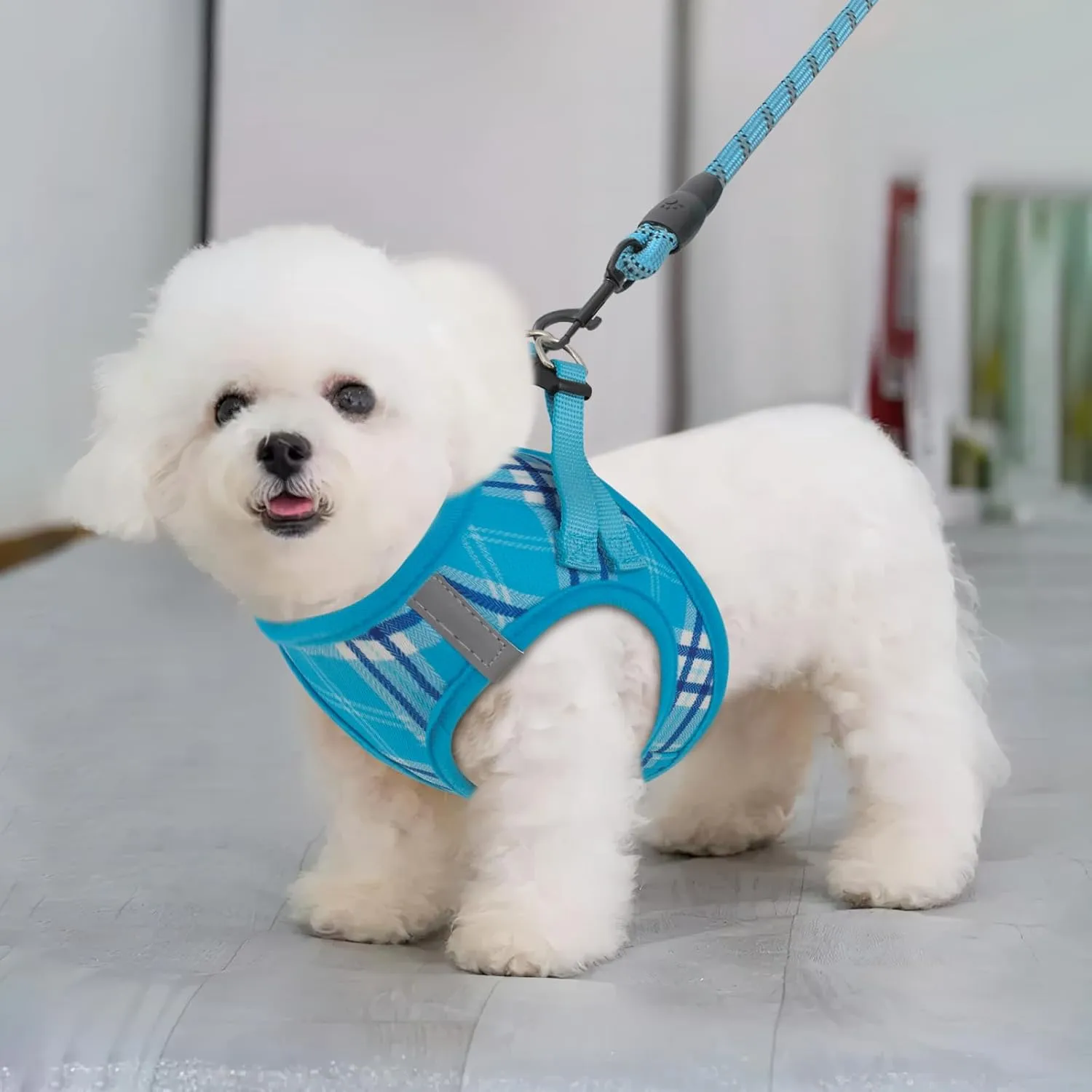MoNiBloom No Pull Dog Harness w/Leash Set, Reflective Soft Puppy Padded Vest for Walking, Training, Easy to Put on Small Dogs - Sky Blue, XS