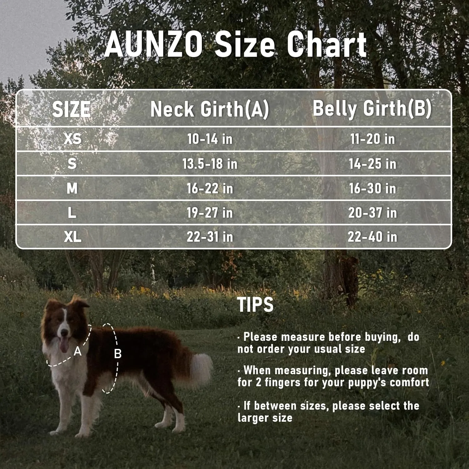 No Pull Dog Harness for Large Dogs with 2 Metal Clips, Easy On/Off with Neck Buckle, Heavy Duty Adjustable Tactical Puppy Vest, Breathable Pet Harness with Easy Control Handle, Blue L