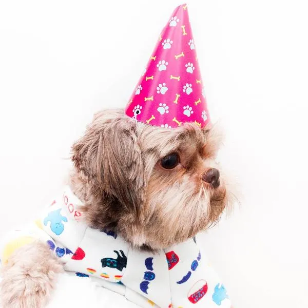 Pawty Hat - Red Dogs
