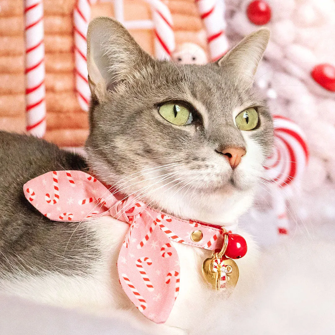 Pet Collar Charms - "Holiday / Seasonal Collection" (48 Styles) - For Cat Collars & Small Dog Collars