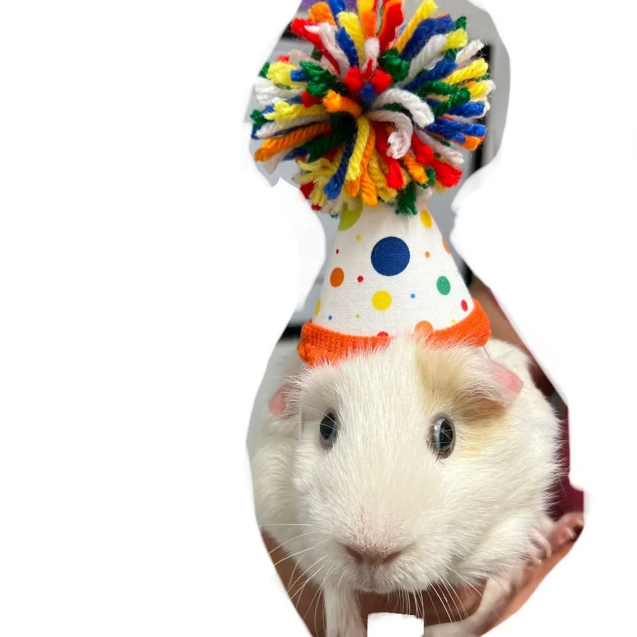 Pup Party Hat (Small, Medium or Large)
