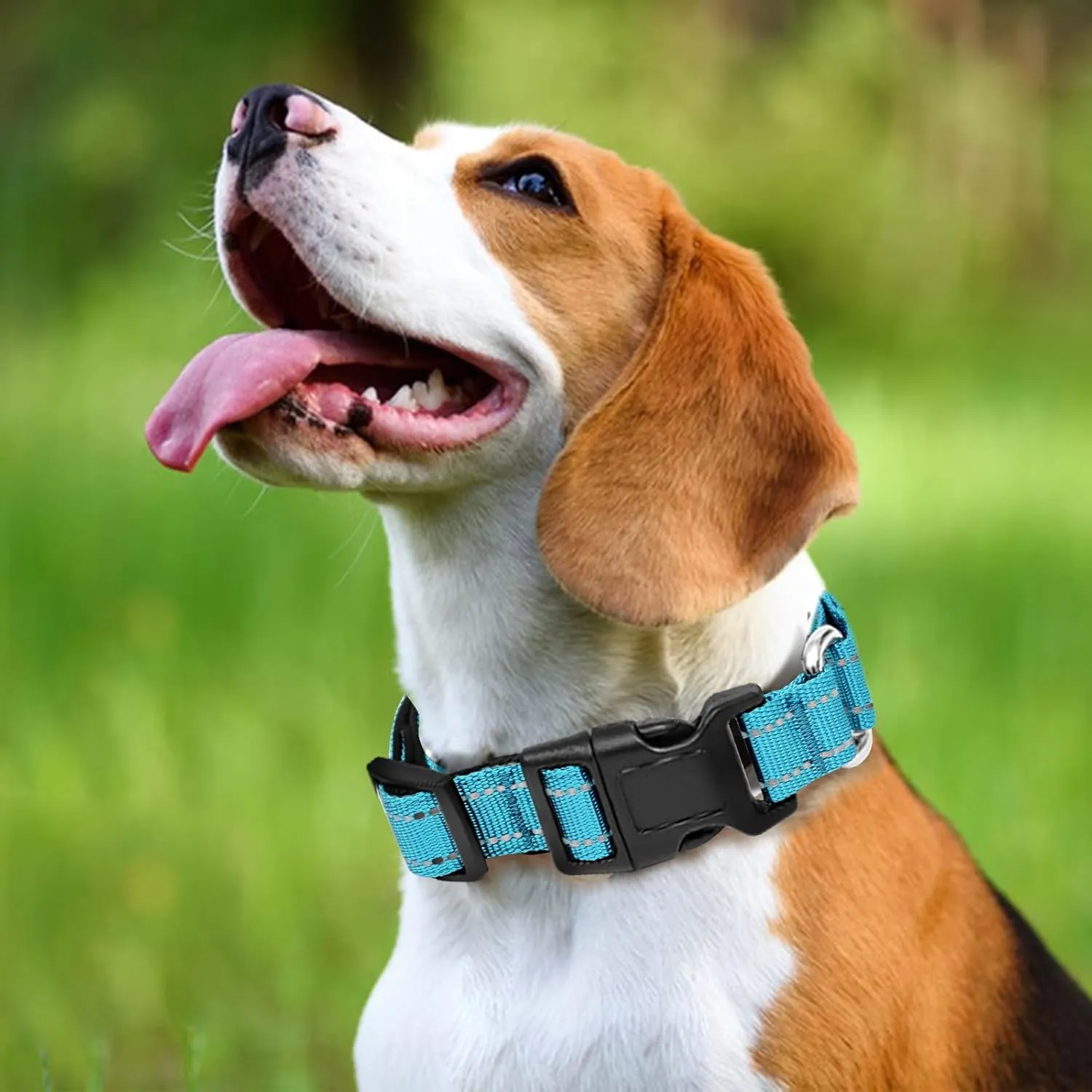 Reflective Martingale Dog Collars. Dog Collar with Quick Release Buckle. Adjustable Soft Padded Breathable Nylon Pet Collar Suitable for Puppies for Small Medium Large Dogs.