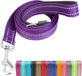 Reflective Nylon Dog Leash for Walking,Strong Dog Leash with Padded Handle for Puppy and Small Dogs,6 FT,Purple