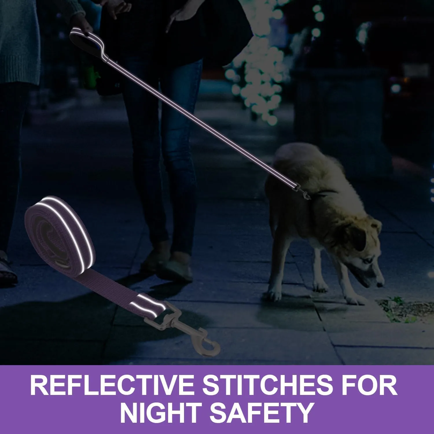 Reflective Nylon Dog Leash for Walking,Strong Dog Leash with Padded Handle for Puppy and Small Dogs,6 FT,Purple