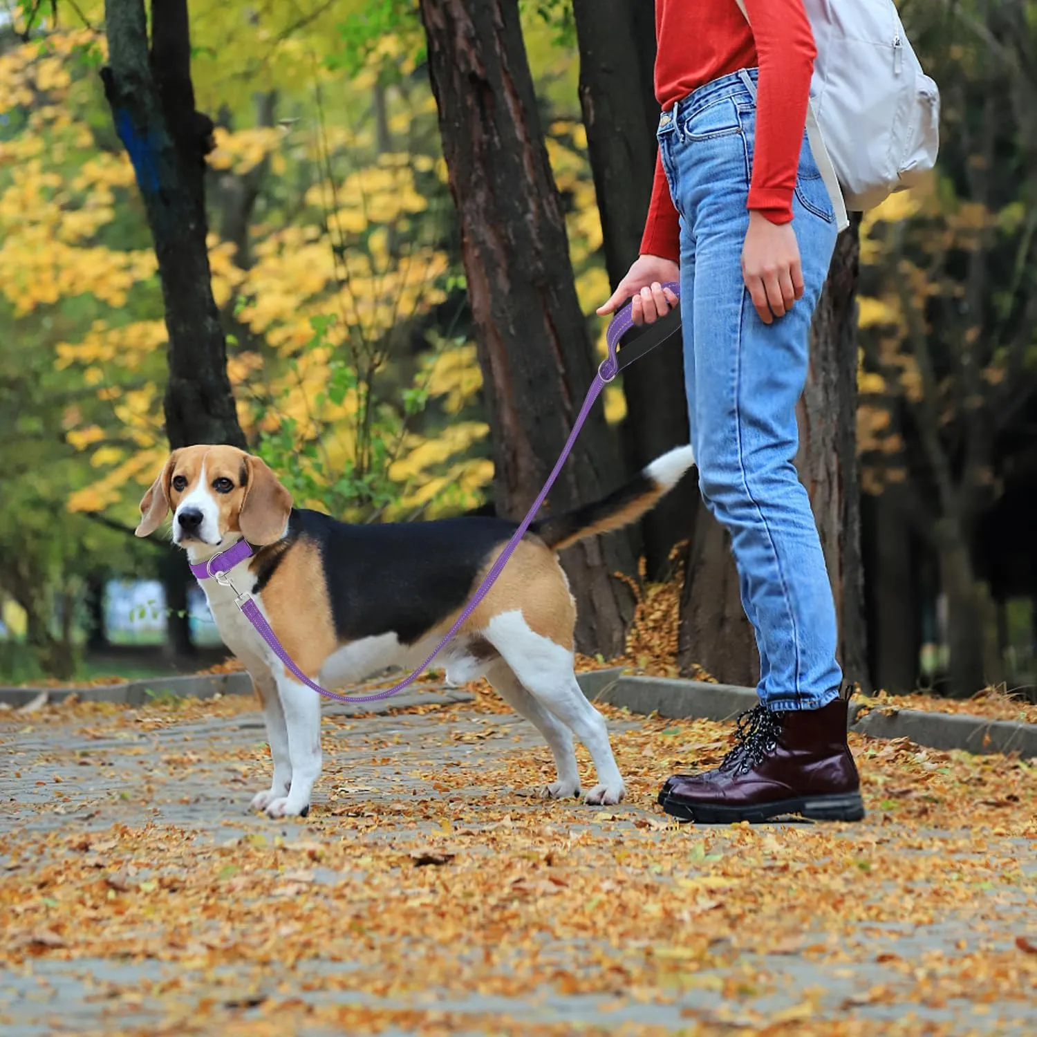 Reflective Nylon Dog Leash for Walking,Strong Dog Leash with Padded Handle for Puppy and Small Dogs,6 FT,Purple