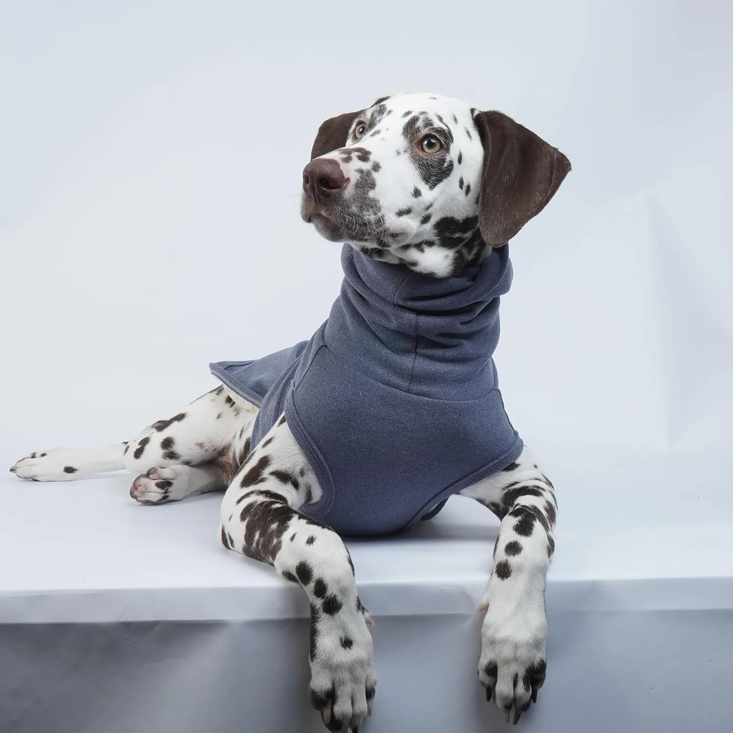 ROZKITCH Dog Compression Shirt Anxiety, Soft Fleece Pullover Pajamas, Pet Windproof Dog Noise Cancelling, Head and Neck Cover, Calming Jacket Blue 4XL