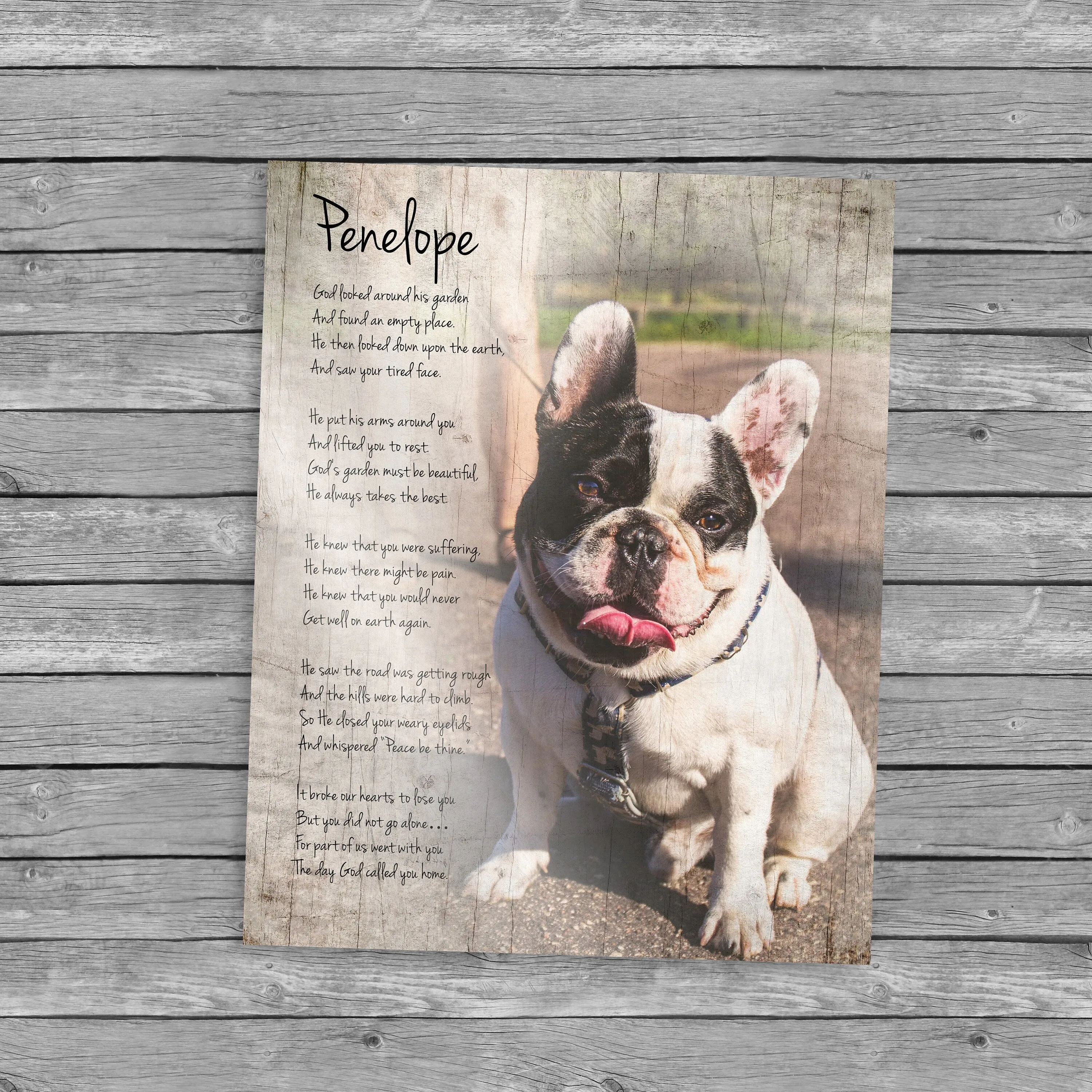 Rustic Pet Portrait on Wood