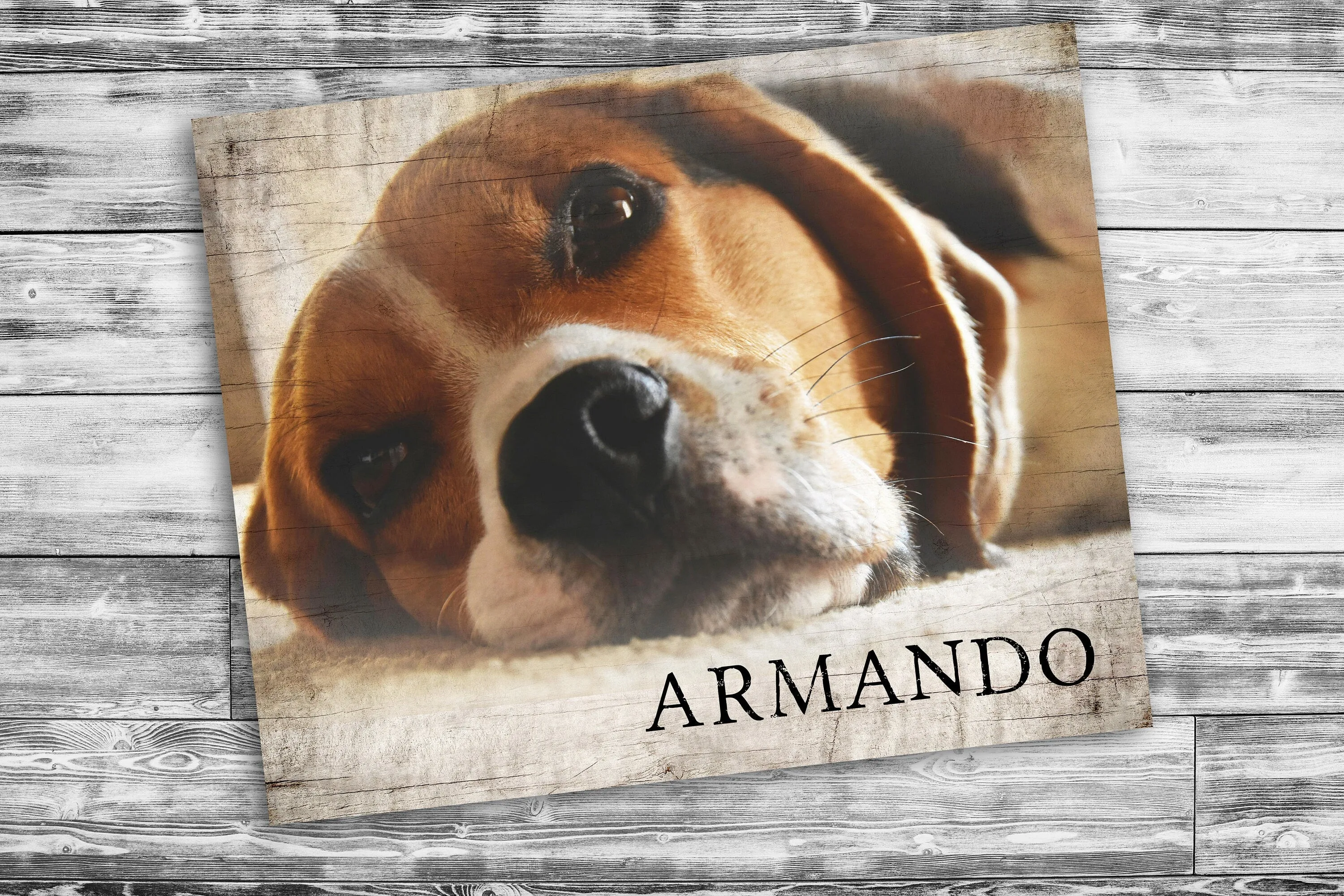 Rustic Pet Portrait on Wood