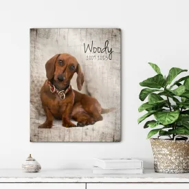 Rustic Pet Portrait on Wood