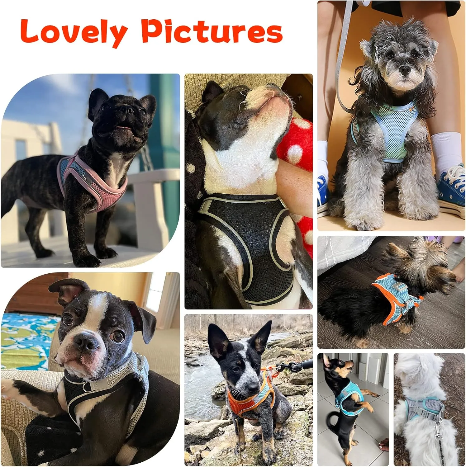 Soft Small Dog Harness and Leash Set Mesh Puppy Harnesses Leash Easy Walk Dog Harness Vest Adjustable Reflective No Pull Dog Harnesses for Small Dogs Cats (Black,S)