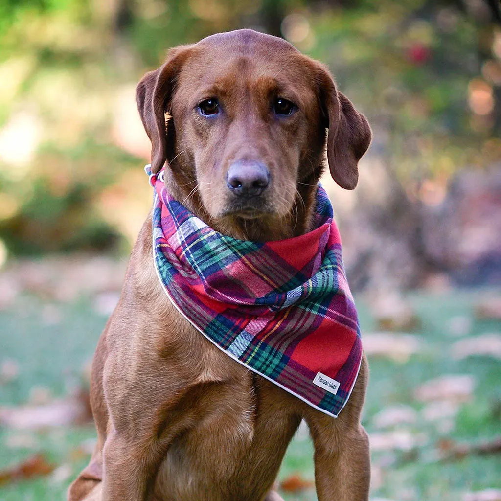 The Tartan Plaid Flannel Dog Bandana - Red