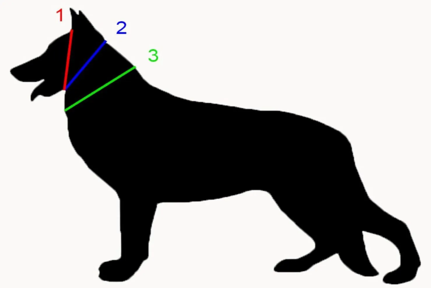 Thin BioThane Adjustable Snap Collars