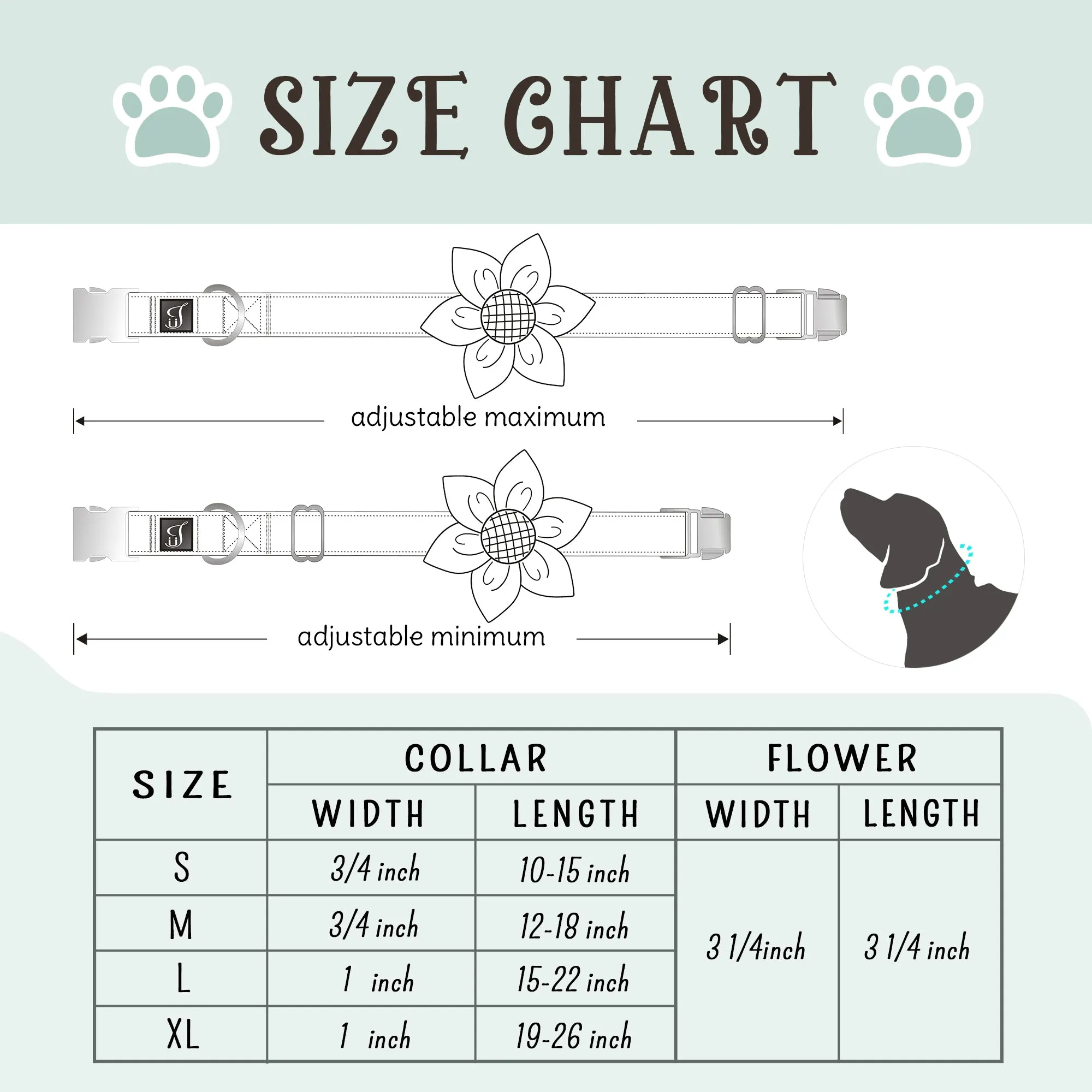 Tropical Dog Collar with Flower