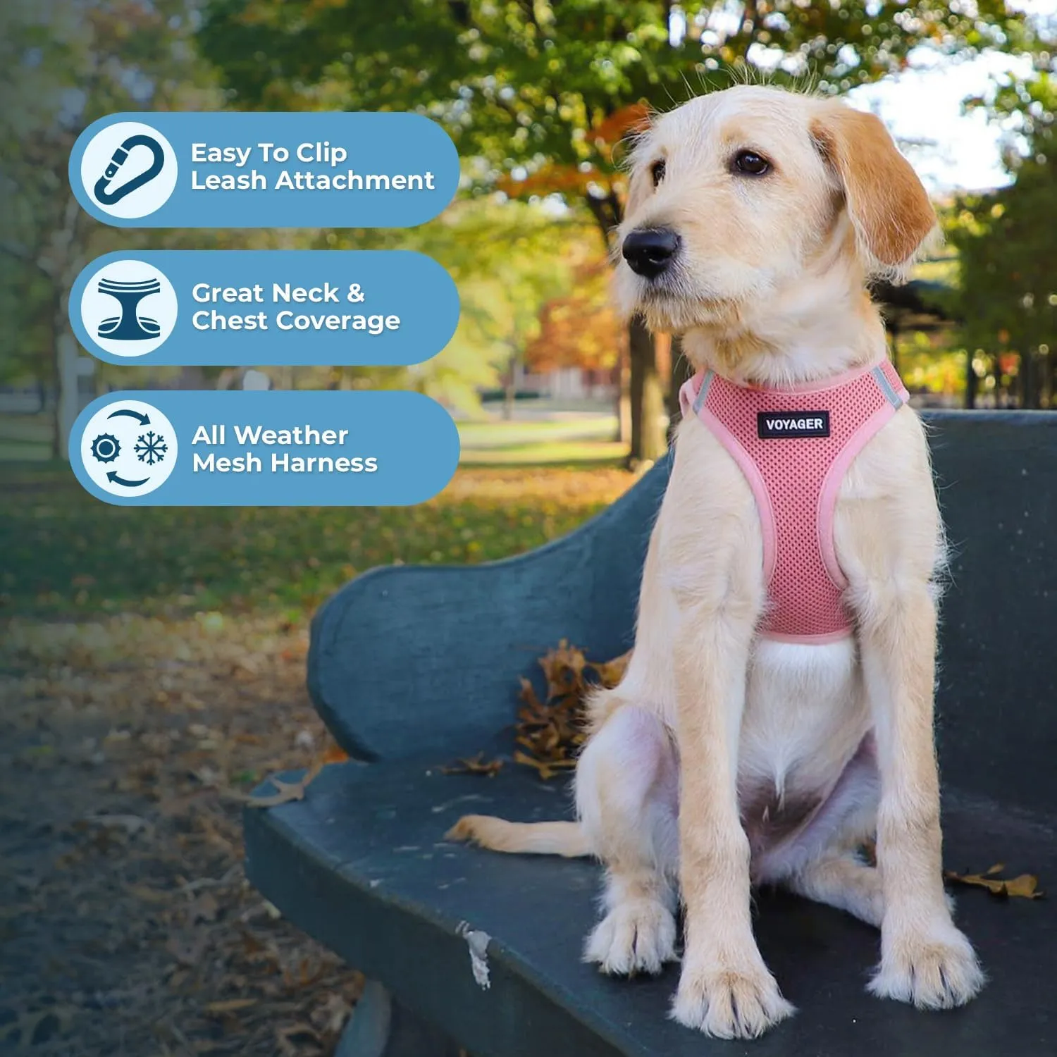 Voyager Step-in Air All Weather Mesh Harness and Reflective Dog 5 ft Leash Combo with Neoprene Handle, for Small, Medium and Large Breed Puppies by Best Pet Supplies - Harness Leash Set (Pink), L